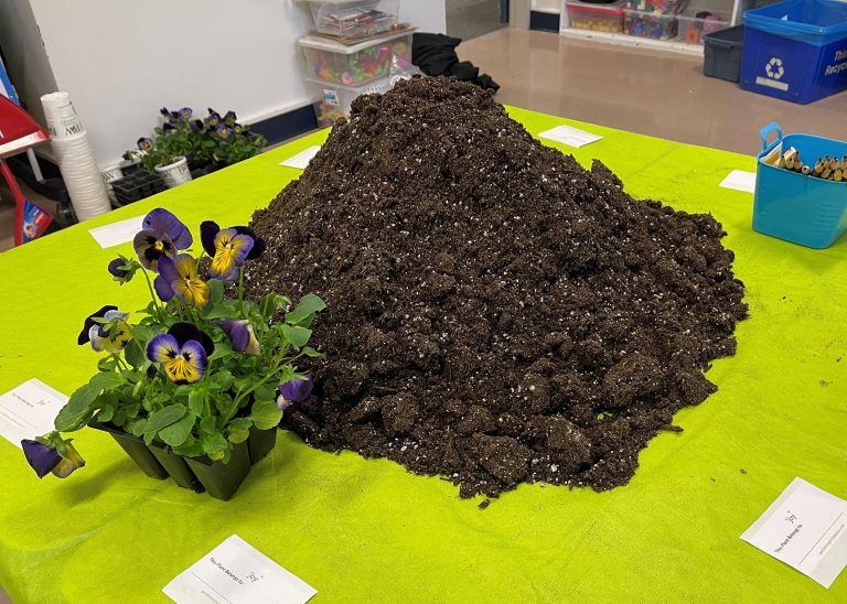 Large pile of soil and plant